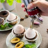 whip creamer, Gourmet, warm & cold applications, s/s, made in Austria