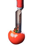 tomato / universal corer by De Buyer, made in France